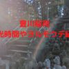 豊川稲荷の観光時間どのくらい？ヨルモウデのやり方やおすすめスポットも紹介！